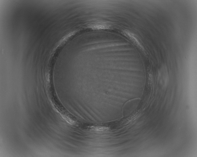 X0000082990539200702160026