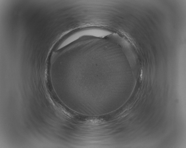 X0000082990540200702160026