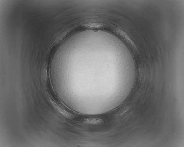 X0000082990541200702160026