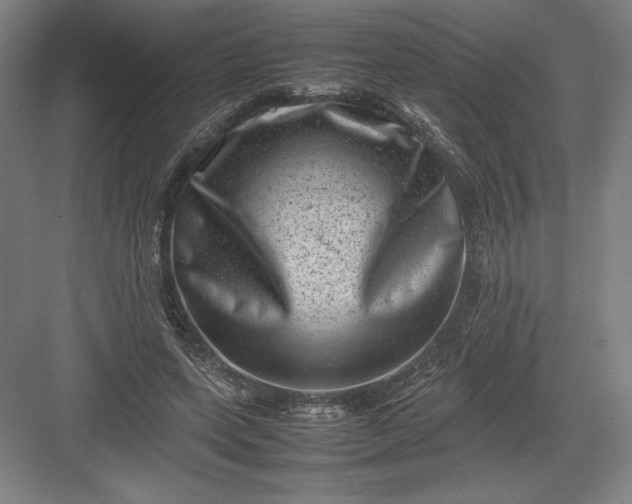 X0000082990543200702160026