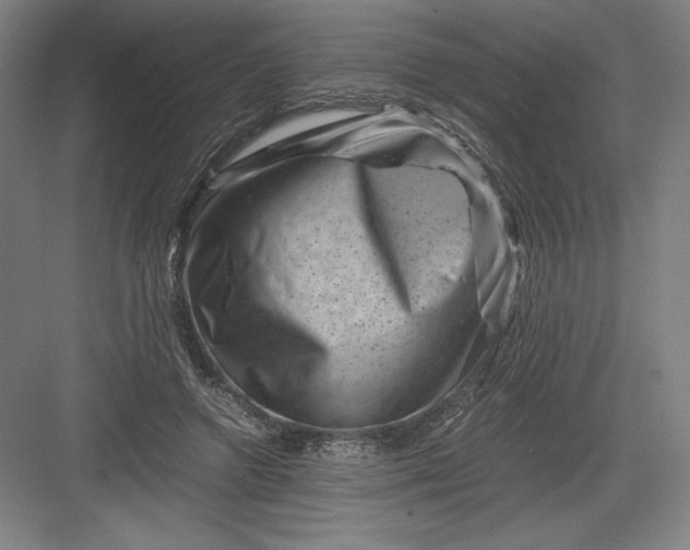 X0000082990546200702160026