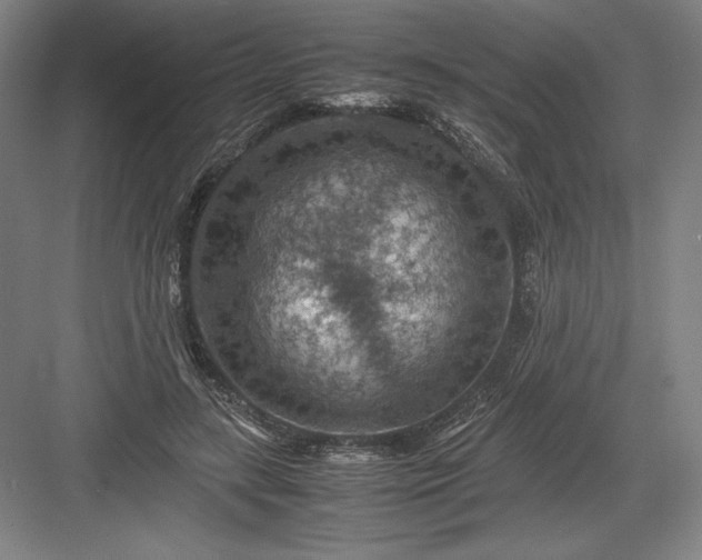 X0000082990547200702160026