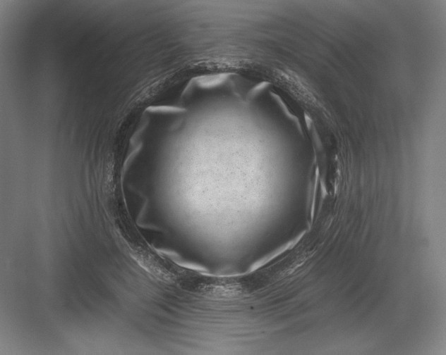 X0000082990548200702160026