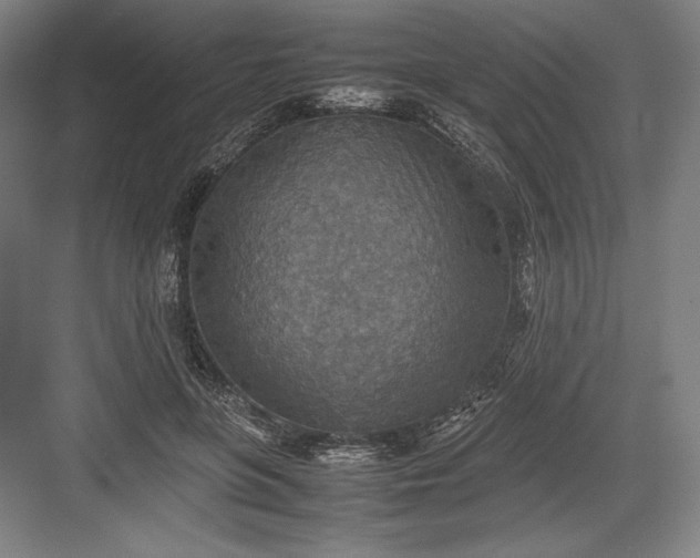 X0000082990551200702160026