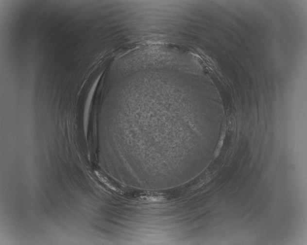 X0000082990552200702160026