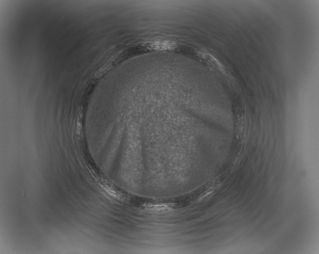 X0000082990553200702160026