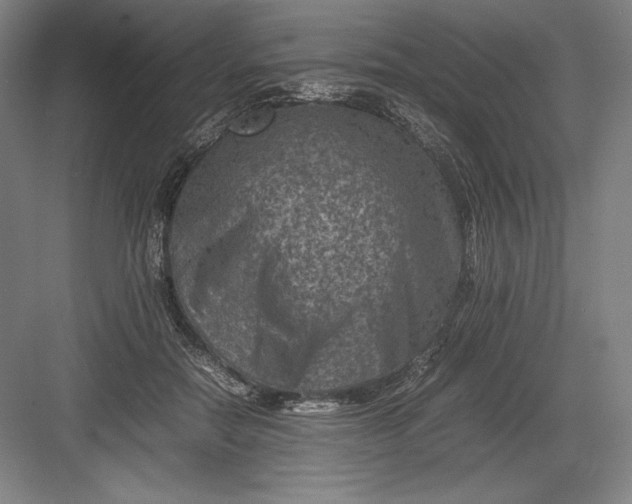 X0000082990554200702160026