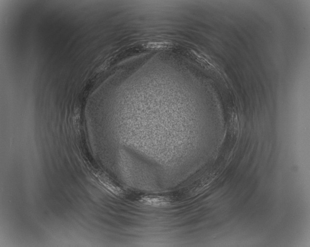 X0000082990557200702160026