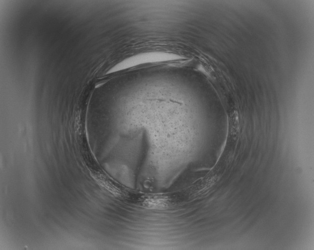 X0000082990560200702160026