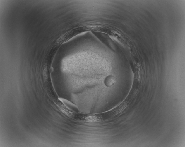 X0000082990562200702160026