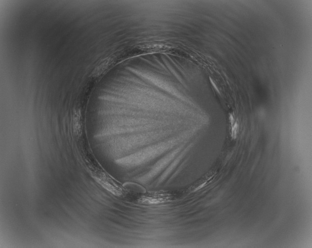 X0000082990563200702160026