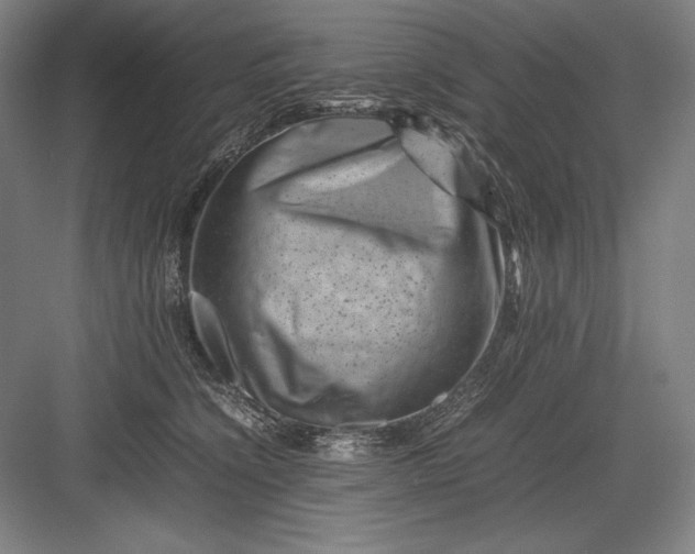 X0000082990564200702160026