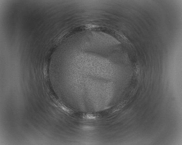 X0000082990565200702160026