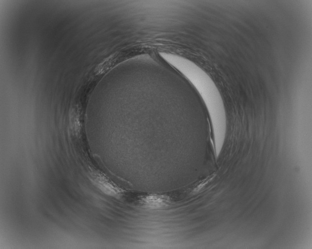 X0000082990566200702160026