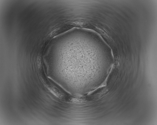 X0000082990568200702160026