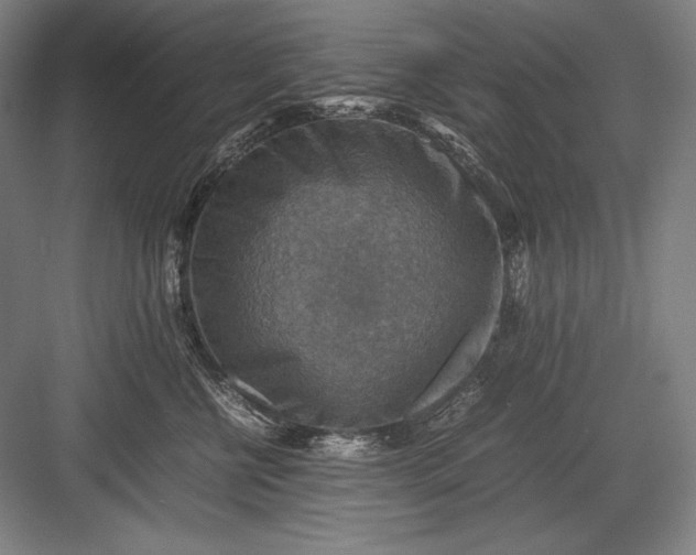 X0000082990570200702160026