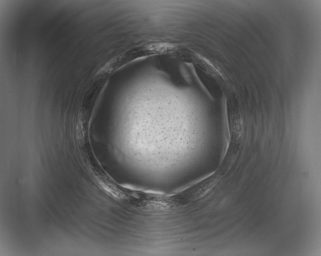 X0000082990572200702160027