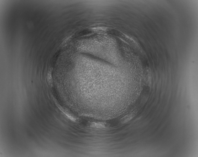 X0000082990573200702160027