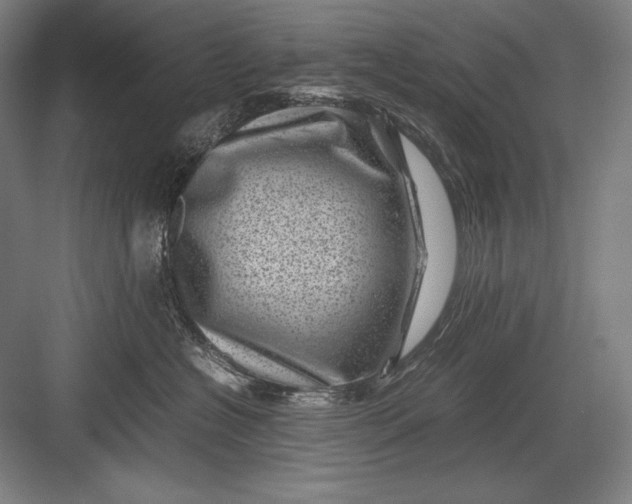 X0000082990574200702160027