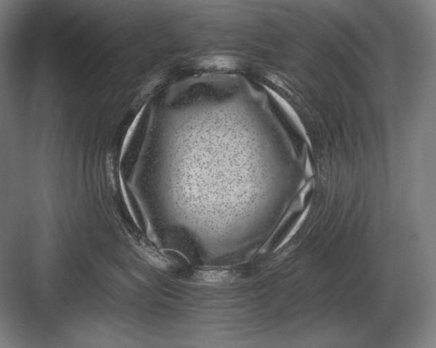 X0000082990575200702160027