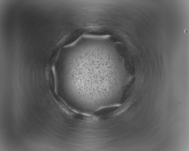 X0000082990576200702160027