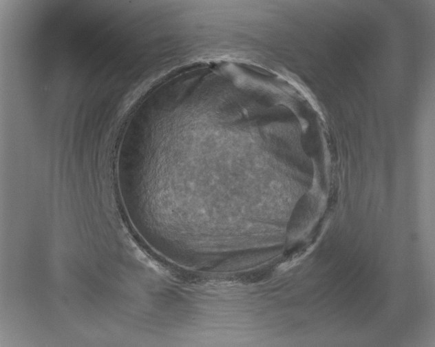 X0000082990577200702160026