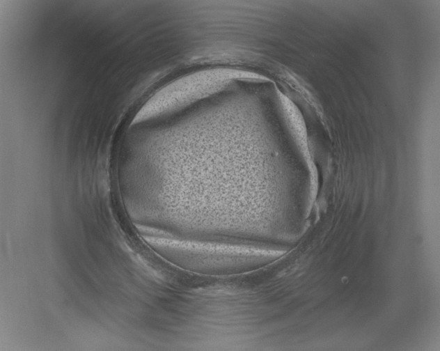 X0000082990578200702160026