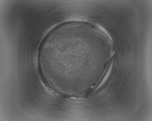 X0000082990580200702160026