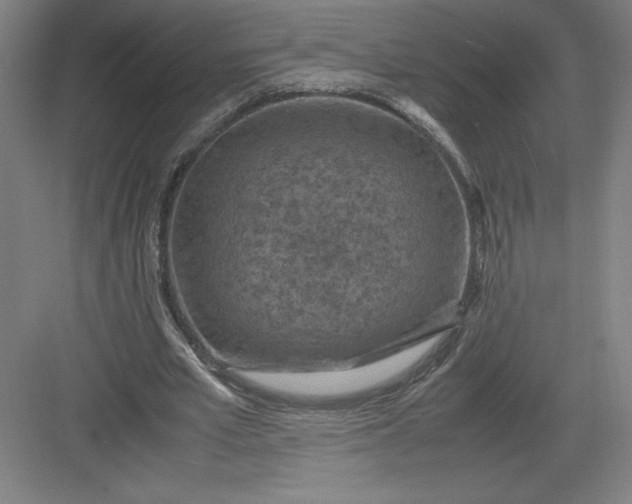 X0000082990581200702160026