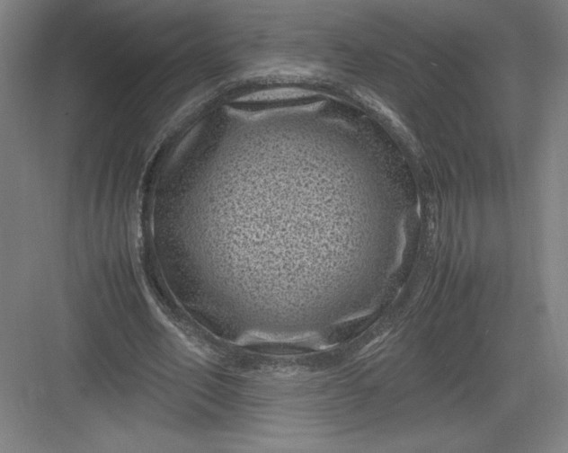 X0000082990582200702160026