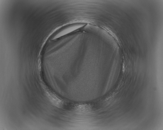 X0000082990584200702160026