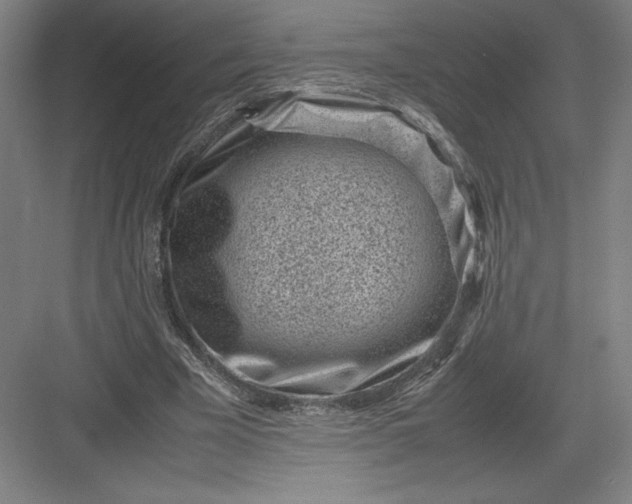 X0000082990585200702160026