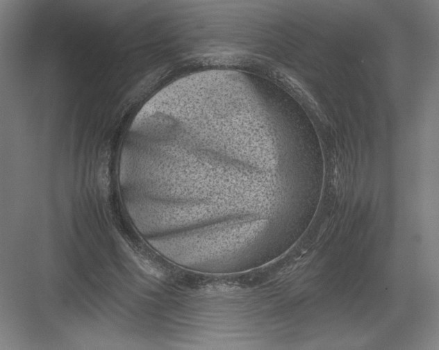 X0000082990586200702160026