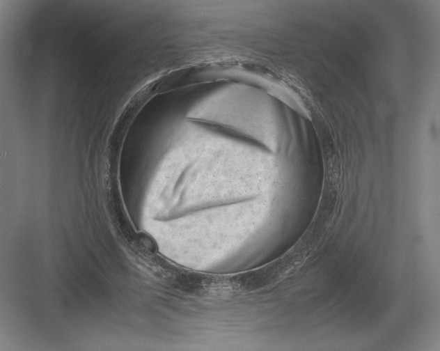 X0000082990587200702160026