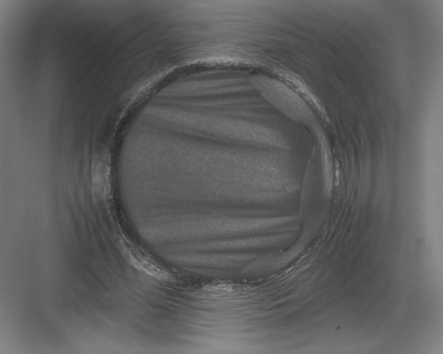 X0000082990588200702160026