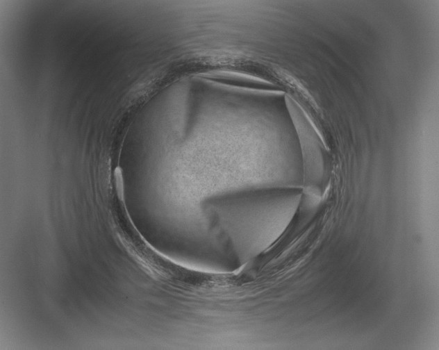 X0000082990589200702160026