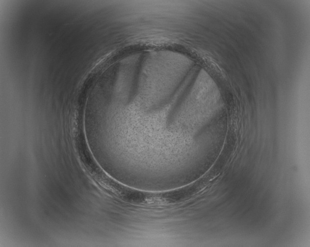 X0000082990591200702160026