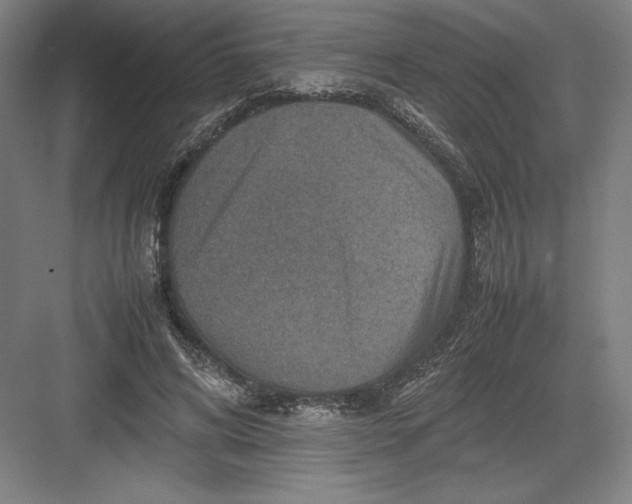 X0000082990592200702160026