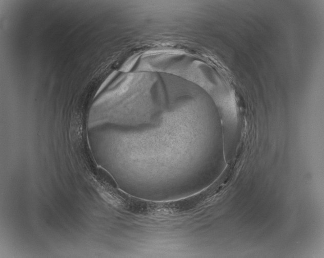 X0000082990593200702160026