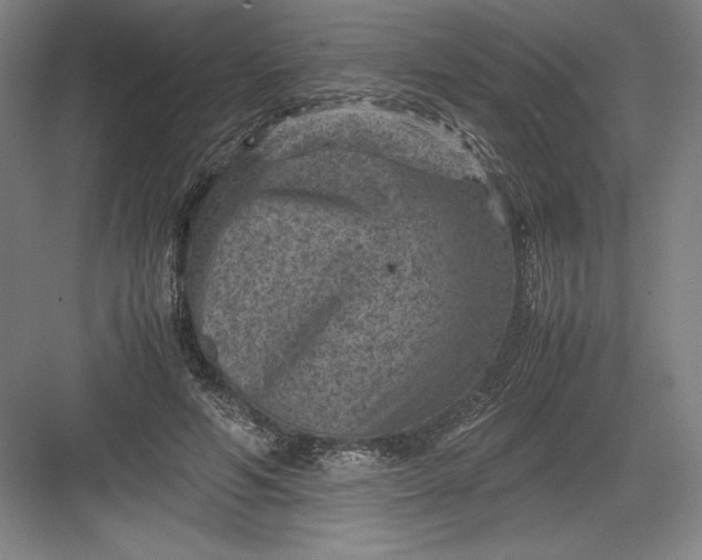 X0000082990594200702160025