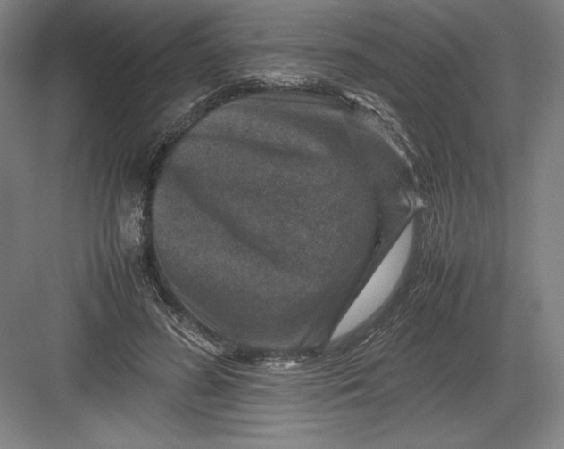 X0000082990596200702160025