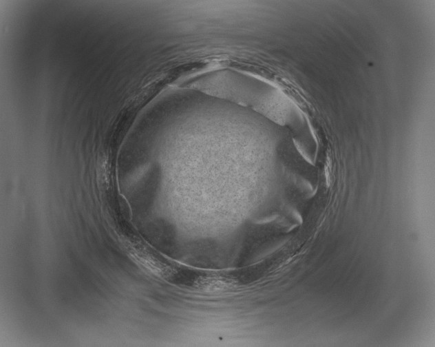 X0000082990597200702160025