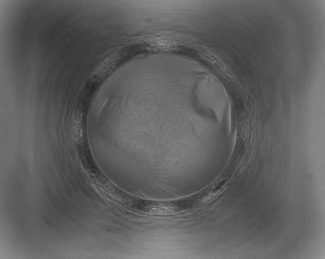 X0000082990599200702160025