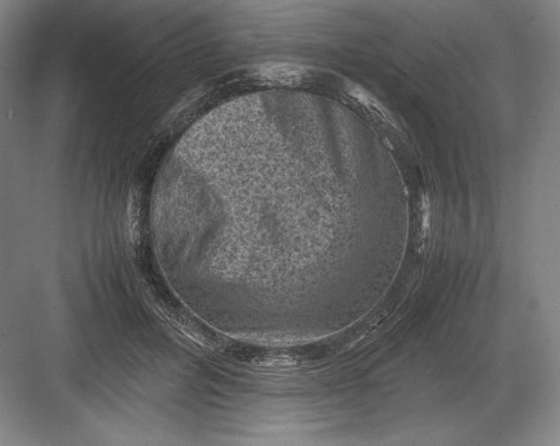 X0000082990600200702160025