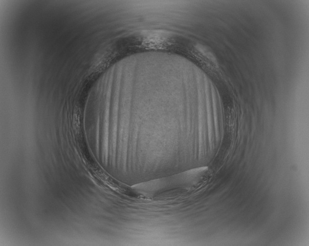 X0000082990603200702160025