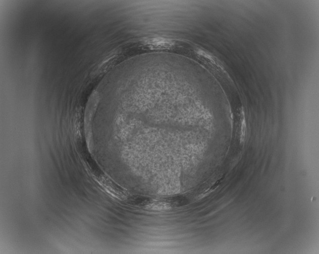 X0000082990604200702160025