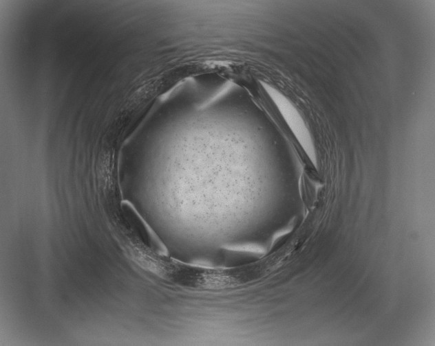 X0000082990605200702160025