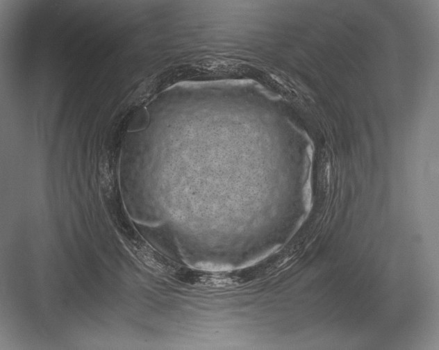 X0000082990607200702160025