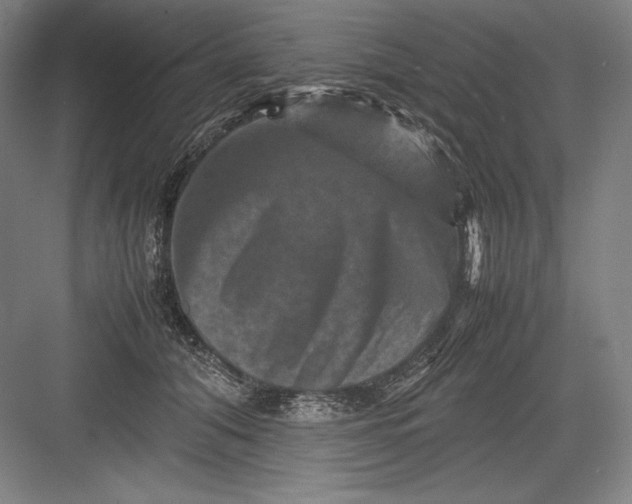 X0000082990608200702160025