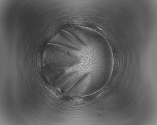 X0000082990609200702160025